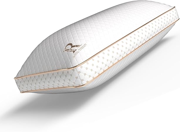 King Pillows, Memory Foam Pillow, Rayon Derived from Bamboo Pillow