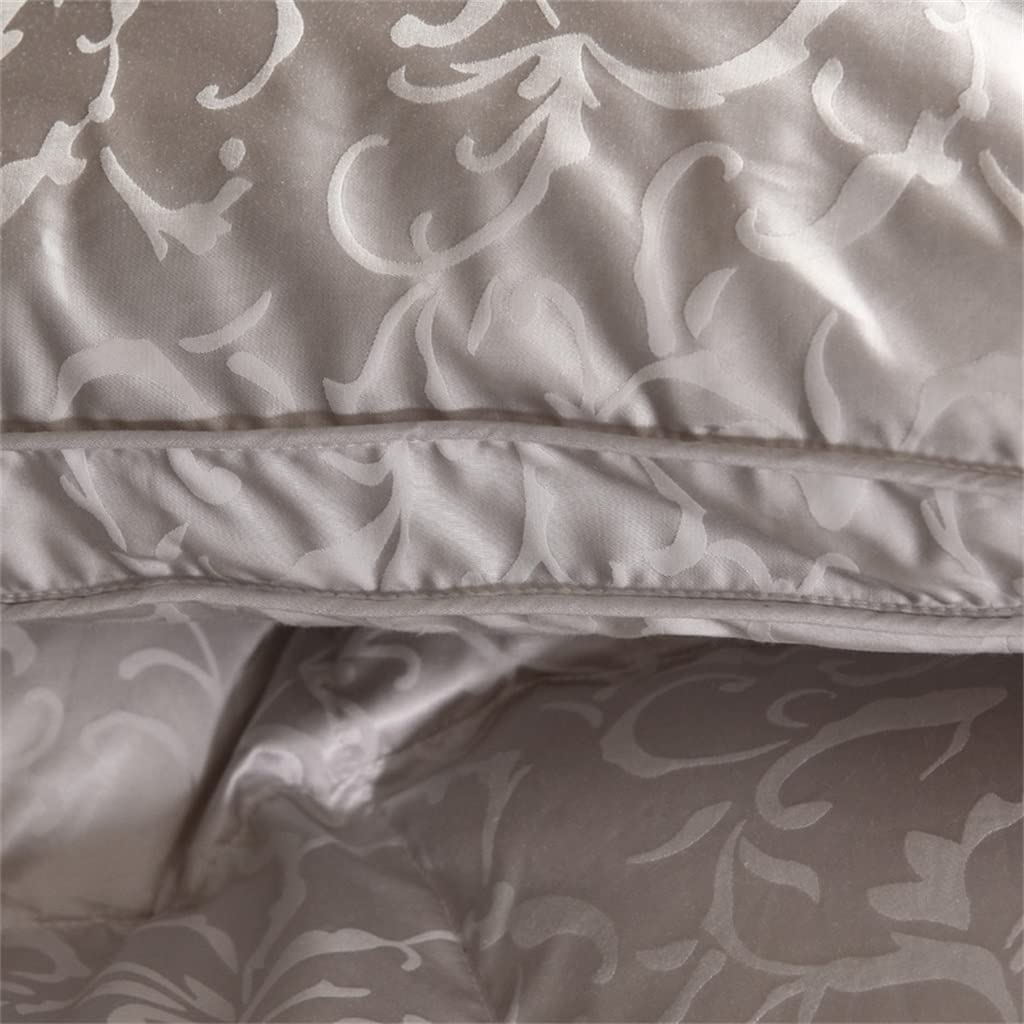 ZUIAI White Duck Down Quilt Down Fluffy Cozy Four Seasons Duvet Brocade Warm Queen King Quilted Comforters(220X240cm 2.75kg)
