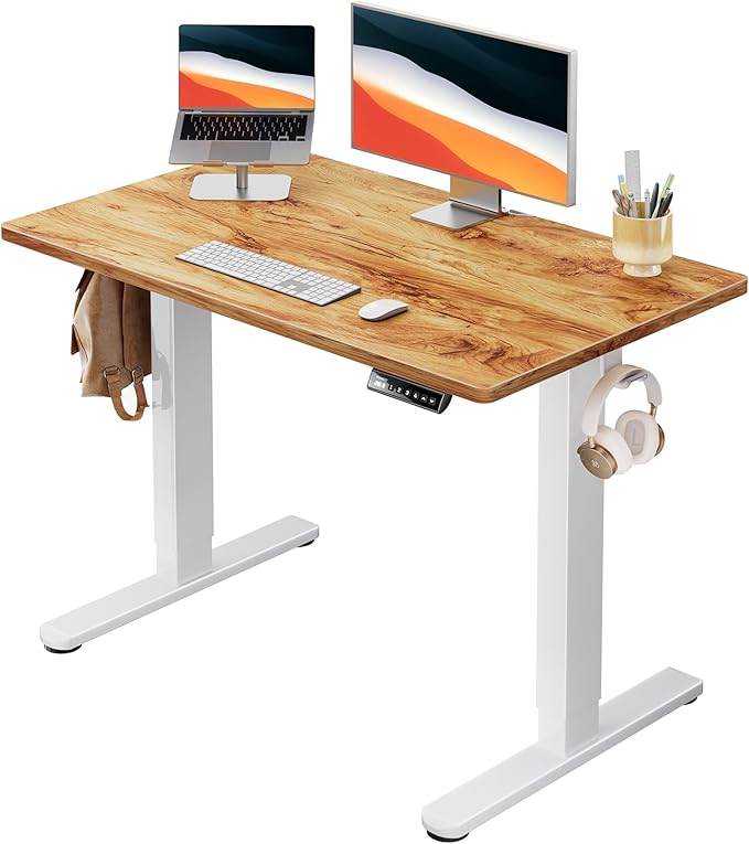 Electric Standing Desk, 48" x 24" Whole Piece Desktop, Adjustable Height Computer Desk, 4 Height Memory Settings, Sit Stand Up Desk for Home Office, White