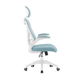 Raif Office Chair with Headrest, S-Shaped Breathable Mesh Back, Central Tilt System