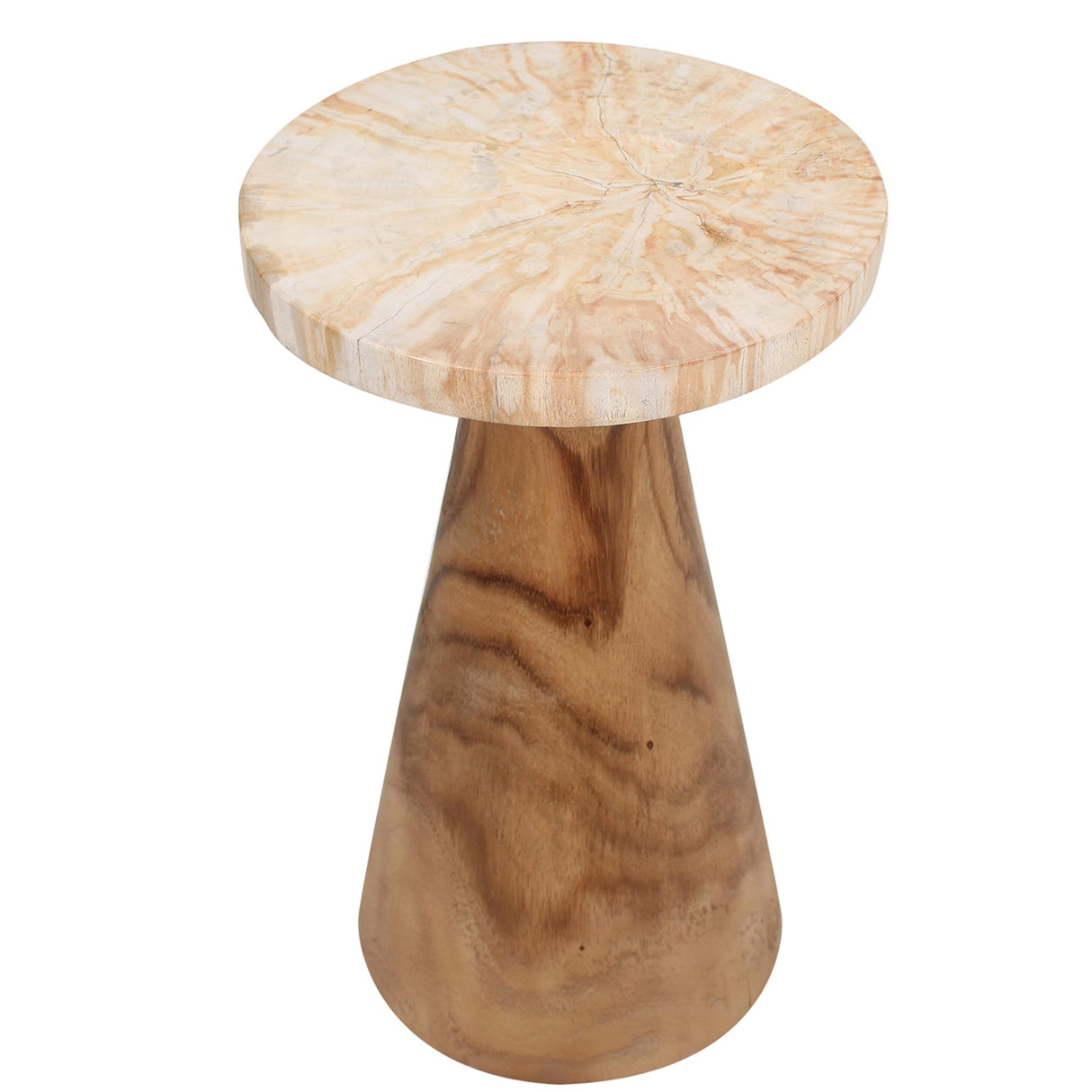 Indigo Road by Egypt Sherrod Kayu Petrified Wood Pedestal Side Table Brown