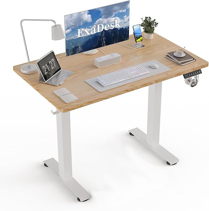 40 * 24 Electric Standing Desk, Adjustable Height Sit Stand Up Desk, Motorized Home Office Computer Gaming Workstation Desk