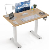 40 * 24 Electric Standing Desk, Adjustable Height Sit Stand Up Desk, Motorized Home Office Computer Gaming Workstation Desk