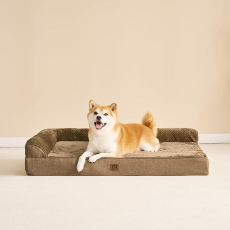 Memory Foam Orthopedic Dog Bed Medium Size Dog