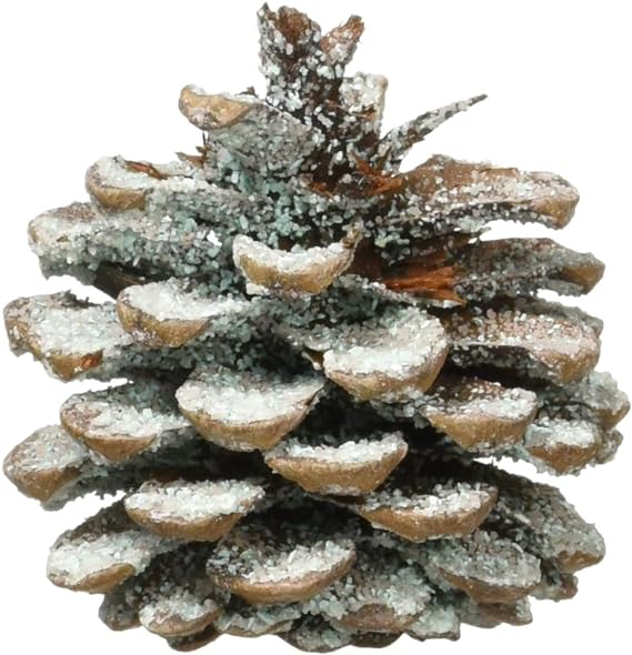 Fireplace and Firepit Color Cones, Festive Fun Rainbow Flame Changing Pine Cones
