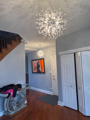 Crystal Chandelier, 9-Light Chrome Personalized Dandelion Ceiling Light