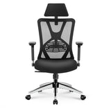 Ergonomic Office Chair - High Back Desk Chair with Adjustable Lumbar Support