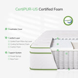 Queen Mattress, 12 Inch Hybrid Mattress with Gel Memory Foam & Pocketed Coil