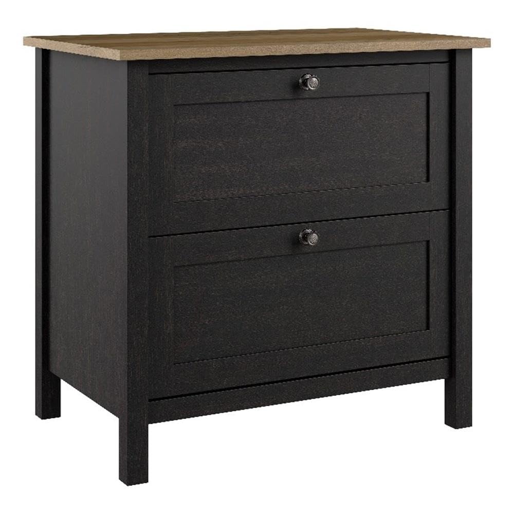 Mayfield 2 Drawer Lateral File Cabinet in Vintage Black