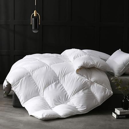 Lightweight All-Season Feathers Down Comforter Full/Queen Duvet Insert