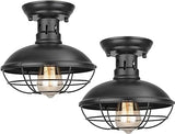 Flush Mount Ceiling Light