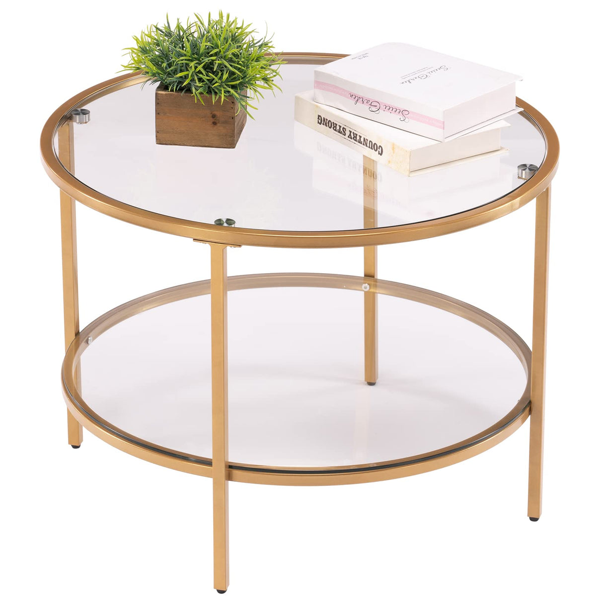 25.6" Round Gold Coffee Tables for Living Room, 2-Tier Glass Top Coffee Table