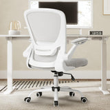 Ergonomic Office Chair, Comfortable Office Chair with Lumbar Support, Breathable Mesh