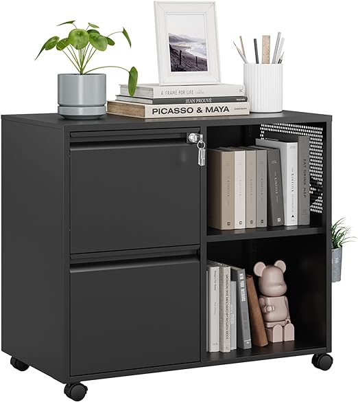 2 Drawer File Cabinet on Wheels, Metal Filing Cabinets with Storage Shelves