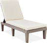 Outdoor Lounge Chair, Resin Patio Chaise Lounger for Poolside, Backyard