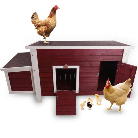 Chicken Coop with Nesting Box, Outdoor Hen House with Removable Bottom