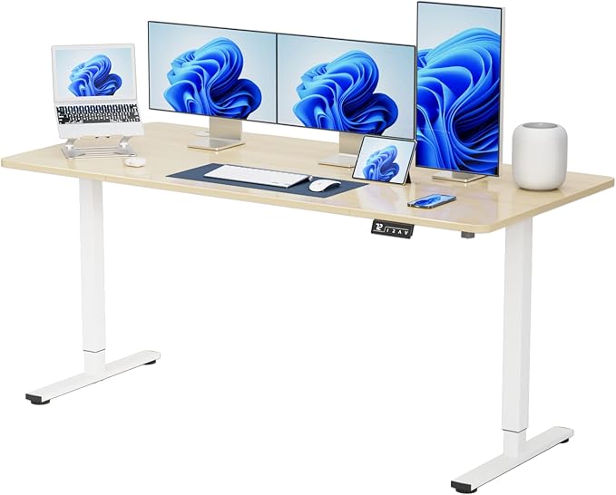 Height Adjustable Electric Standing Desk 55 inch Computer Table, Home Office Workstation, 55in, White Leg/White Top