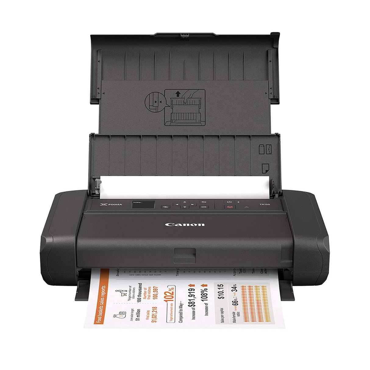 PIXMA TR150 Wireless Portable Printer