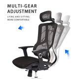 Executive Chair with 2D Adjustable Headrest, Ergonomic Office Chair with Mesh Seat