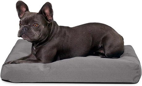 Tough Rectangle Pillow Small Dog Bed - Removable Cover, Washable