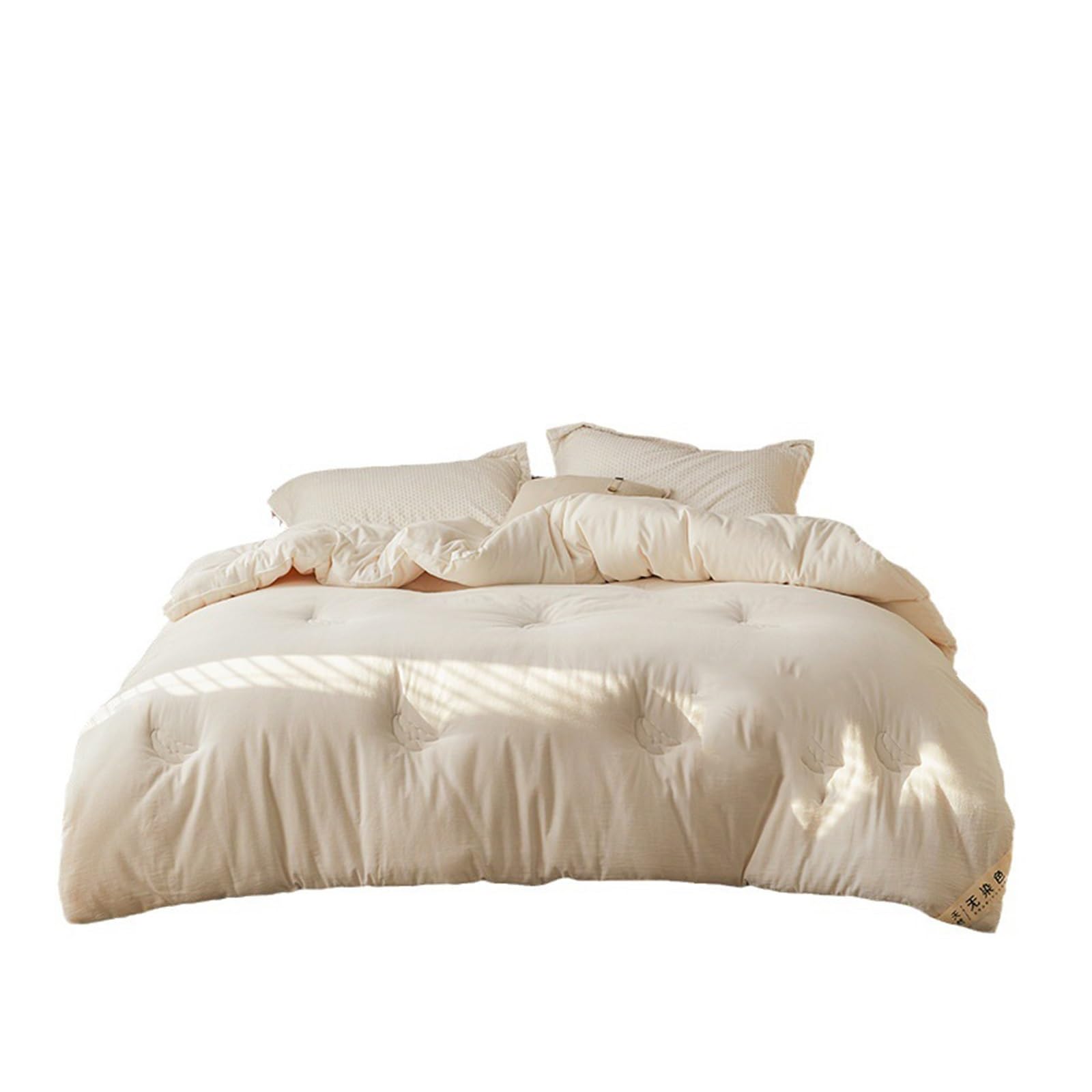 Soybean Protein Quilt Four Seasons Universal Winter Core Thickened