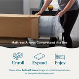 LUCID 10 Inch Memory Foam Mattress - Medium Feel - Infused with Bamboo Charcoal and Gel - Bed in a Box - Temperature Regulating - Pressure Relief - Breathable - Full Size