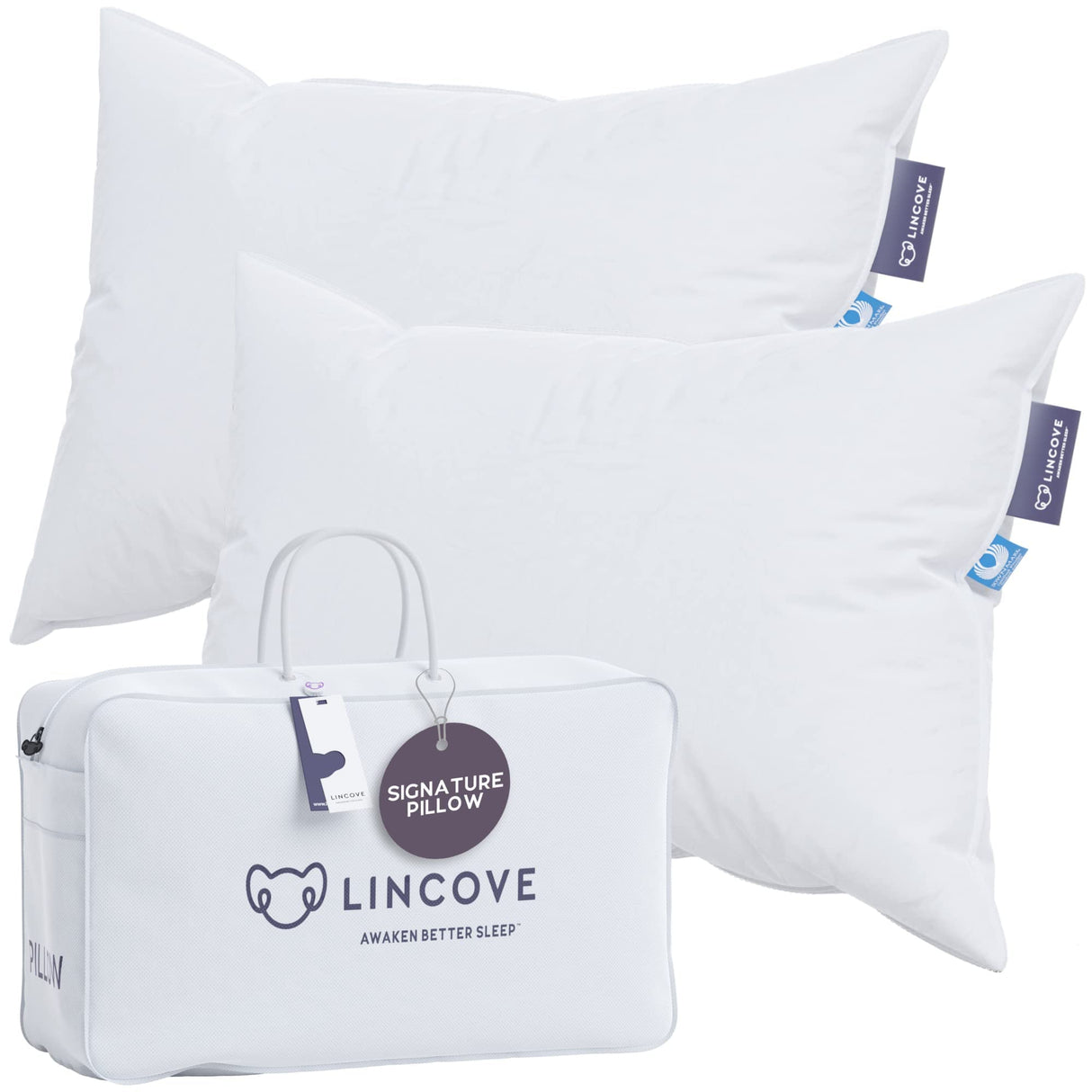 Signature 100% Natural Canadian White Down Luxury Sleeping Pillow - 800 Fill Power