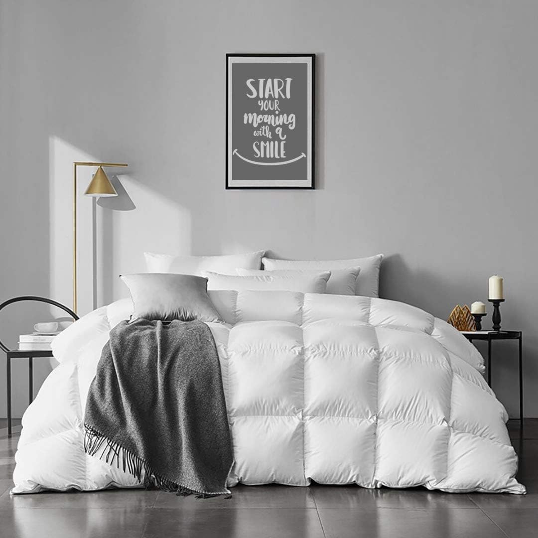 Heavyweight Feathers Down Comforter Oversized Queen Size - Cotton Quilted Thicker Winter Warmest Duvet Insert for Colder Weather/Sleepers (98x98, Ivory White)
