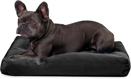 Tough Rectangle Pillow Small Dog Bed - Removable Cover, Washable