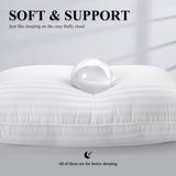 Queen Size Bed Pillows Set of 2, Plush Hotel Quality Pillows