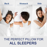 Pillows Queen Size Set of 2 for Sleeping, Soft and Supportive Bed Pillow for Side and Back Sleeper,