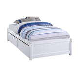 Kali Platform Queen Size Bed, Panel Rectangular Design