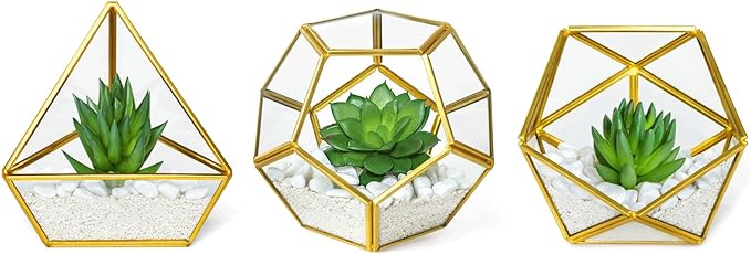 Artificial Succulent in 3 Pack Mini Glass Geometric Terrarium