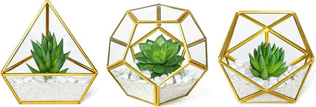 Artificial Succulent in 3 Pack Mini Glass Geometric Terrarium