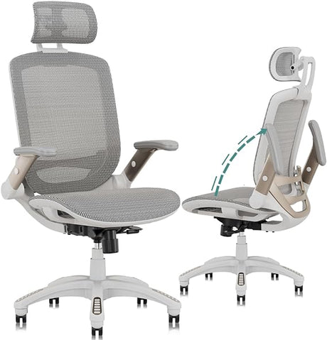 Ergonomic Mesh Office Chair, High Back Desk Chair