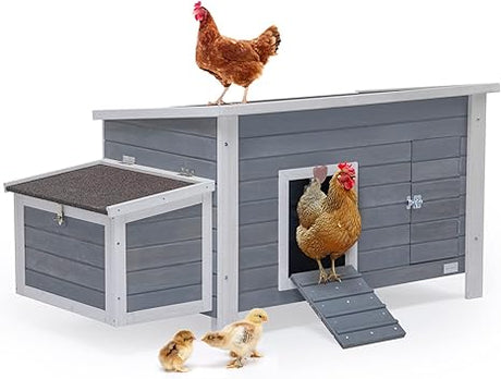 Large Chicken Coop with Upgraded Perches, Wooden Outdoor Chicken Cage