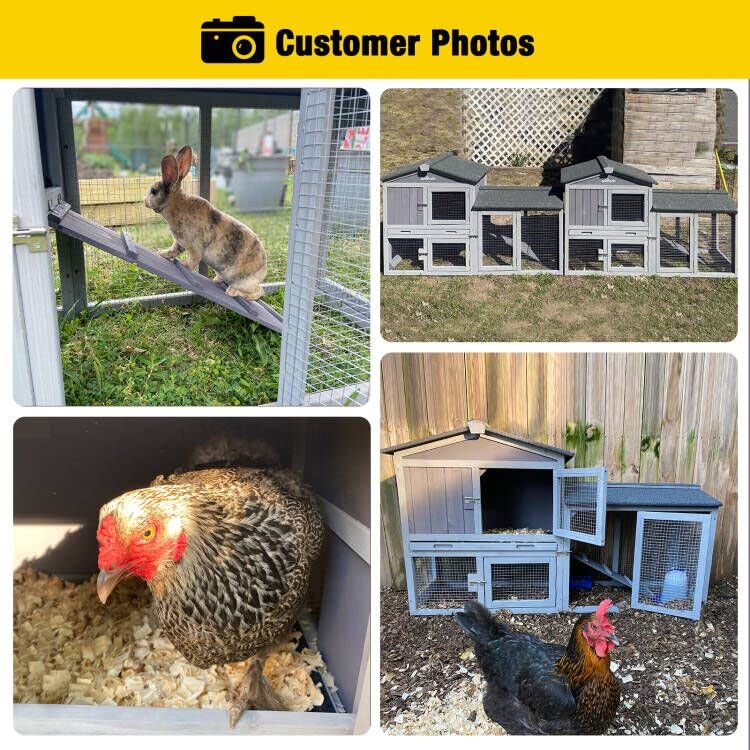 Chicken Coop for 4-6 Chickens Outdoor Duck House Wooden Quail Cage