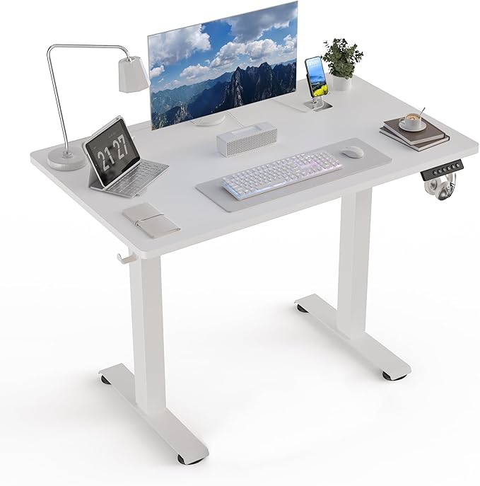 40 * 24 Electric Standing Desk, Adjustable Height Sit Stand Up Desk, Motorized Home Office Computer Gaming Workstation Desk