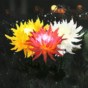Outdoor Solar Garden Stake Lights, 3 Pack Chrysanthemum Flower