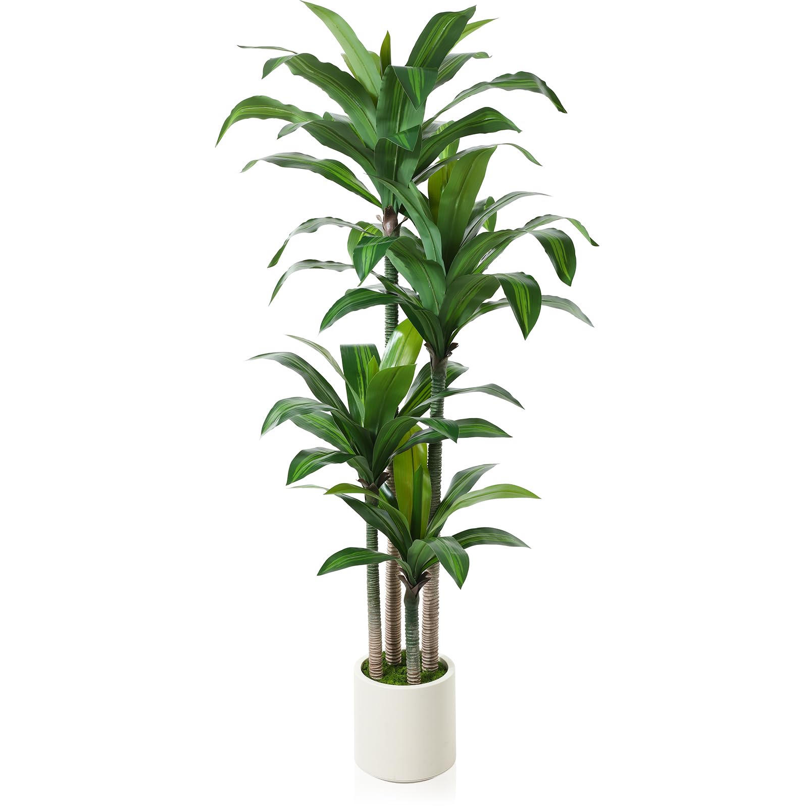 Artificial Dracaena Tree 6ft, Tall Fake Dracaena Plants with White Planter