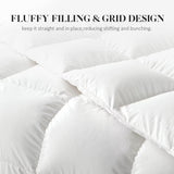 White Queen Size Feather Down Comforter, Filled with Feather and Down, All Season