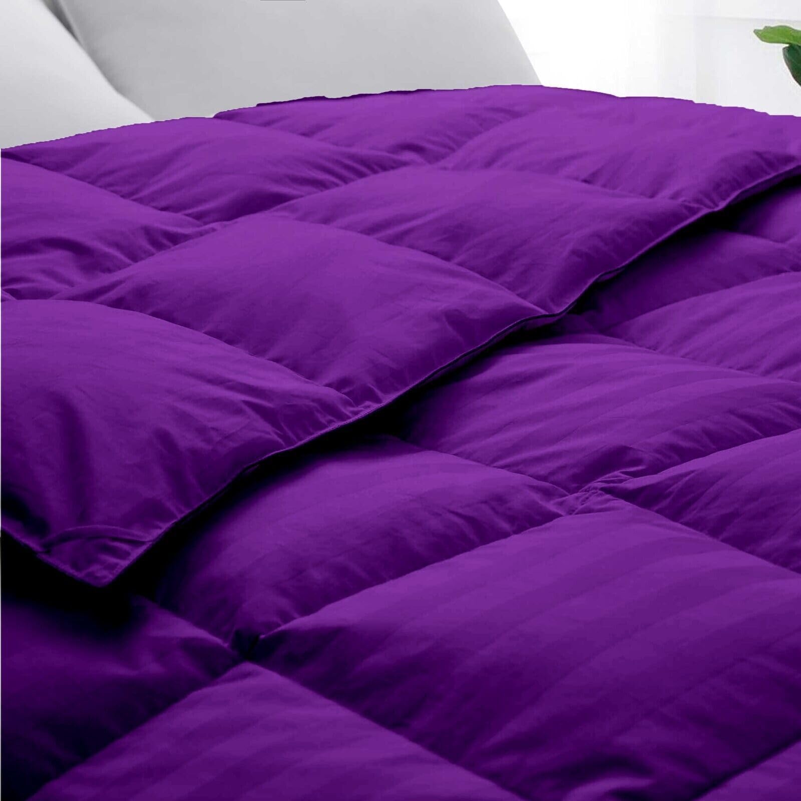 Premium 1000 Thread Count Alaskan King Size 1 Piece Comforter (500GSM Fiber Fill) Purple