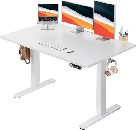 Electric Standing Desk, 48" x 24" Whole Piece Desktop, Adjustable Height Computer Desk, 4 Height Memory Settings, Sit Stand Up Desk for Home Office, White