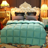 Cotton Duvet/Quilt Thickened Warmth Quilt Core Feather Velvet/White Goose/Duck