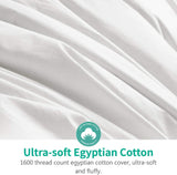 APSMILE Luxury Feathers Down Comforter Oversized Queen Size, Ultra-Soft 750 Fill-Power Duvet Insert for Winter, Heavy Weight Comforter, Fluffy Down Comforter for Bed (98x98, White)