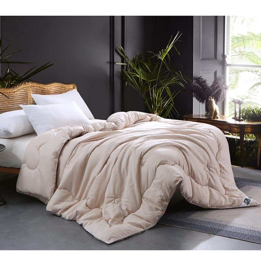 Silk Quilts Warm Winter Duvet Insert Quilted Bed Comforter King Queen Full Twin Size