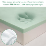 Twin Mattress - 6 Inch Green Tea Memory Foam Mattress- Twin Mattress in a Box