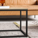 Coffee Table, Living Room Table, Coffee Table with Steel Frame and Shelves