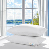 Canada Goose Down Pillow 1050 Fill Power 80% Goose Down 20% Goose Feather 100%