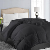 All Season Queen Size Soft Quilted Down Alternative Comforter Reversible Duvet Insert